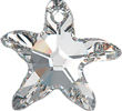 Starfish Pendant